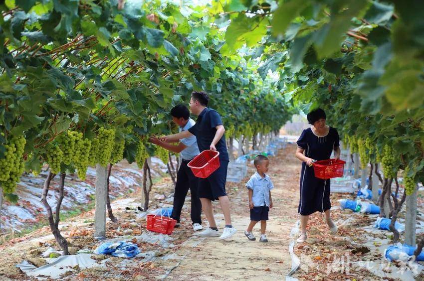 喜迎捕鱼游戏中心下载